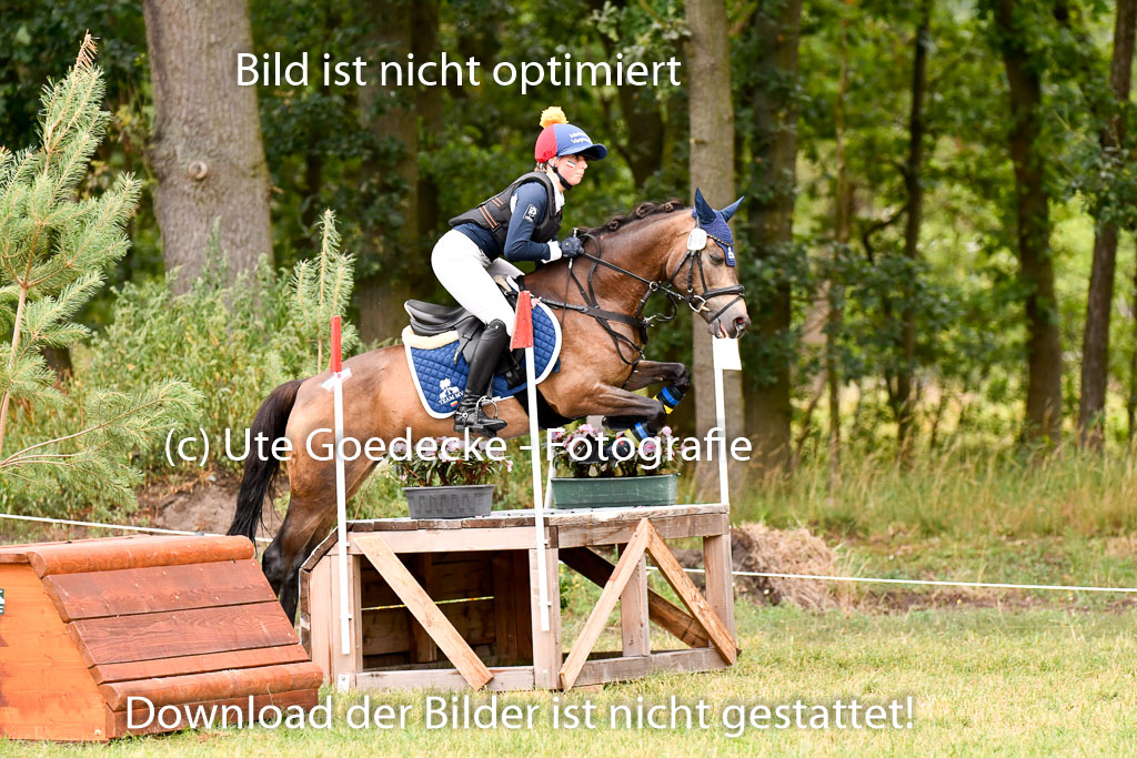 Goldene Schärpe Ponys in Hohenberg Krusemark 2024 | 13072024 Gelände 1 Abt_035