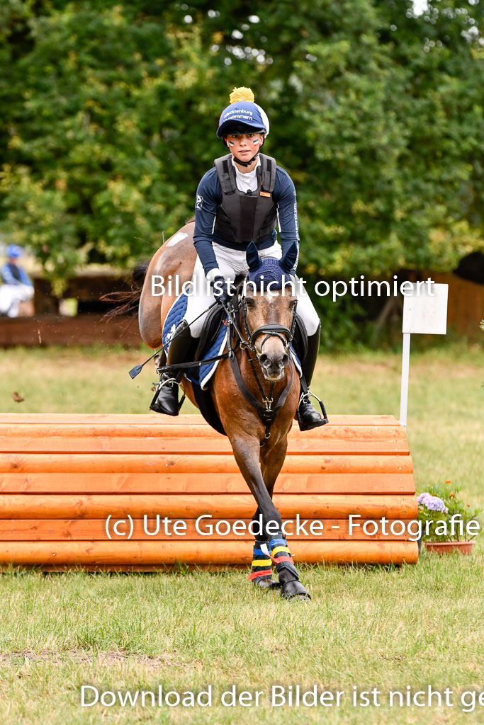 Goldene Schärpe Ponys in Hohenberg Krusemark 2024 | 13072024 Gelände 1 Abt_039 