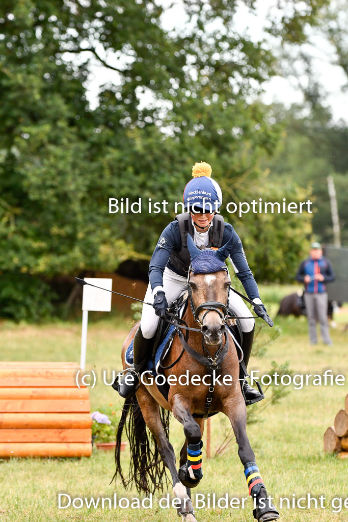 Goldene Schärpe Ponys in Hohenberg Krusemark 2024 | 13072024 Gelände 1 Abt_040 