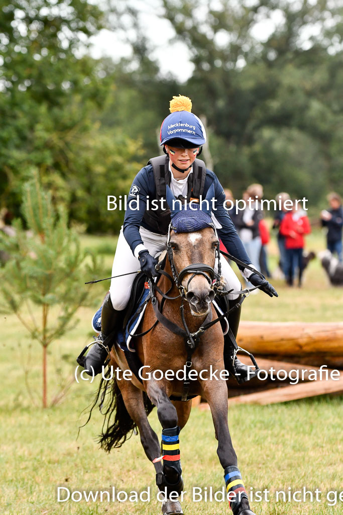 Goldene Schärpe Ponys in Hohenberg Krusemark 2024 | 13072024 Gelände 1 Abt_041