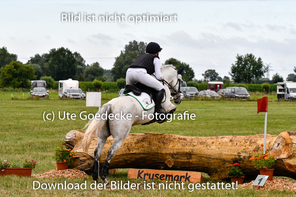 Goldene Schärpe Ponys in Hohenberg Krusemark 2024 | 13072024 Gelände 1 Abt_042 