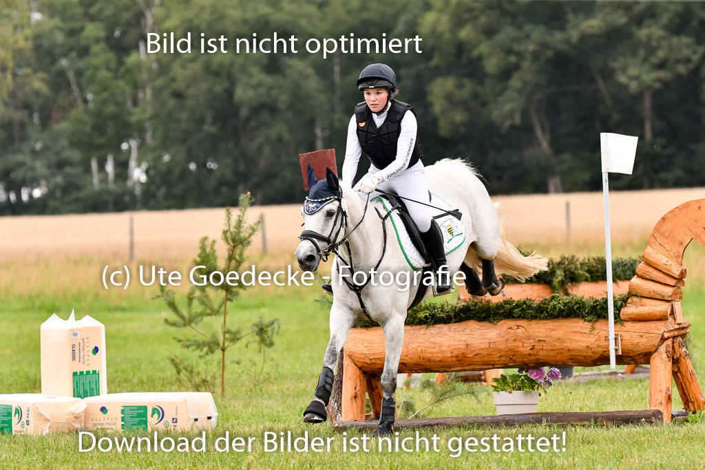 Goldene Schärpe Ponys in Hohenberg Krusemark 2024 | 13072024 Gelände 1 Abt_048