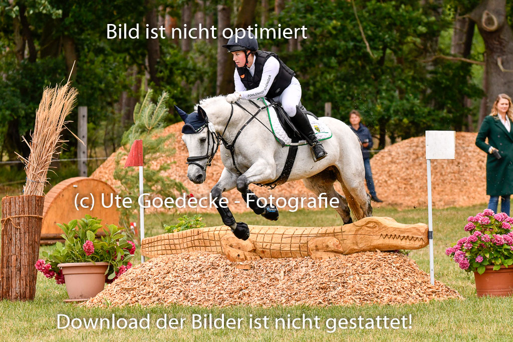 Goldene Schärpe Ponys in Hohenberg Krusemark 2024 | 13072024 Gelände 1 Abt_052