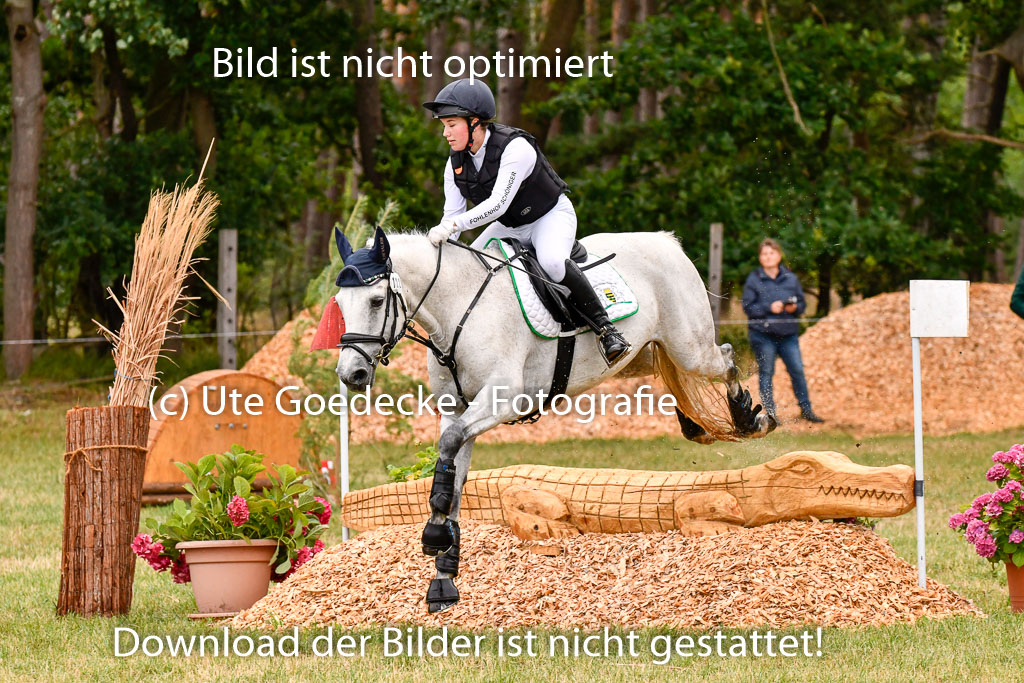 Goldene Schärpe Ponys in Hohenberg Krusemark 2024 | 13072024 Gelände 1 Abt_053