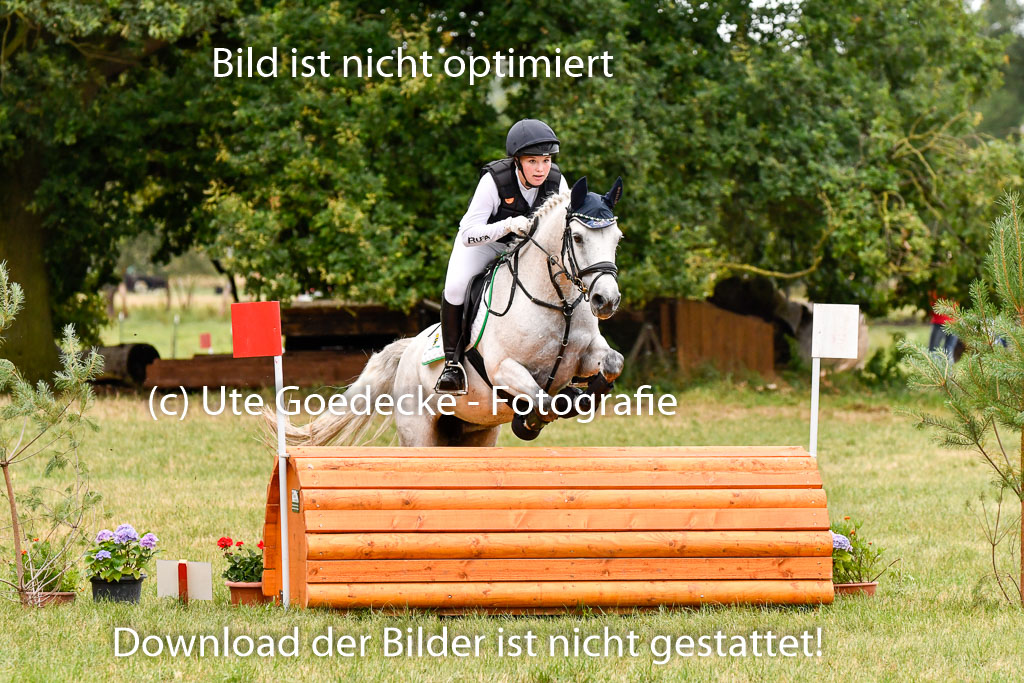 Goldene Schärpe Ponys in Hohenberg Krusemark 2024 | 13072024 Gelände 1 Abt_056