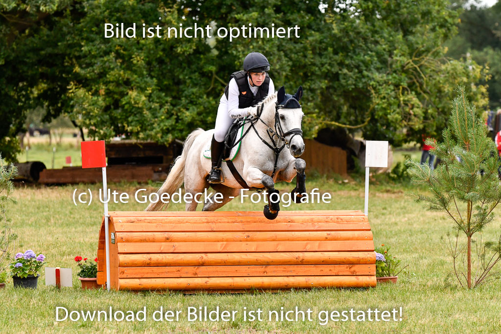 Goldene Schärpe Ponys in Hohenberg Krusemark 2024 | 13072024 Gelände 1 Abt_057