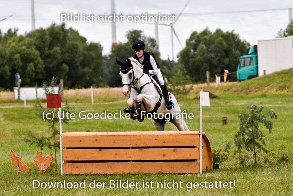 Goldene Schärpe Ponys in Hohenberg Krusemark 2024 | 13072024 Gelände 1 Abt_059 