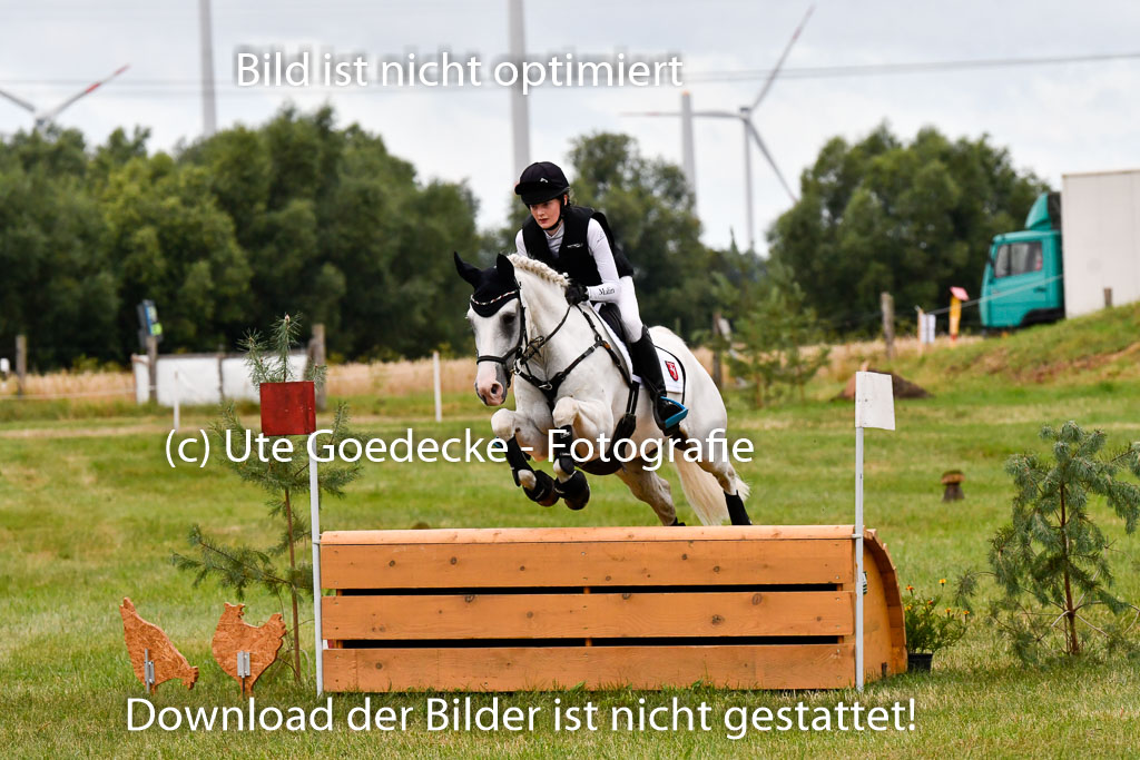 Goldene Schärpe Ponys in Hohenberg Krusemark 2024 | 13072024 Gelände 1 Abt_060