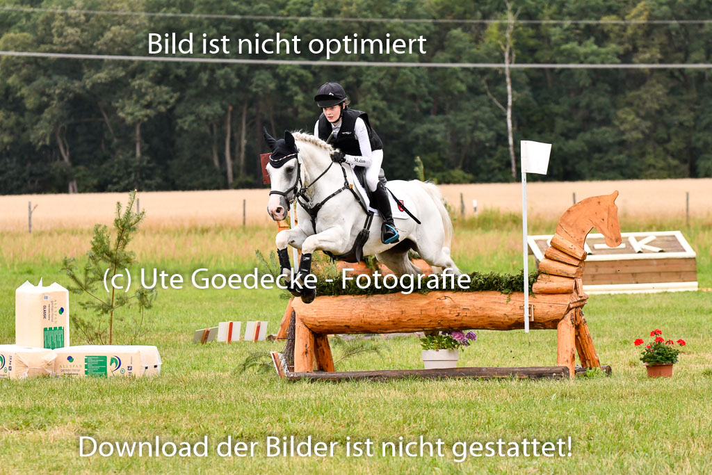 Goldene Schärpe Ponys in Hohenberg Krusemark 2024 | 13072024 Gelände 1 Abt_064