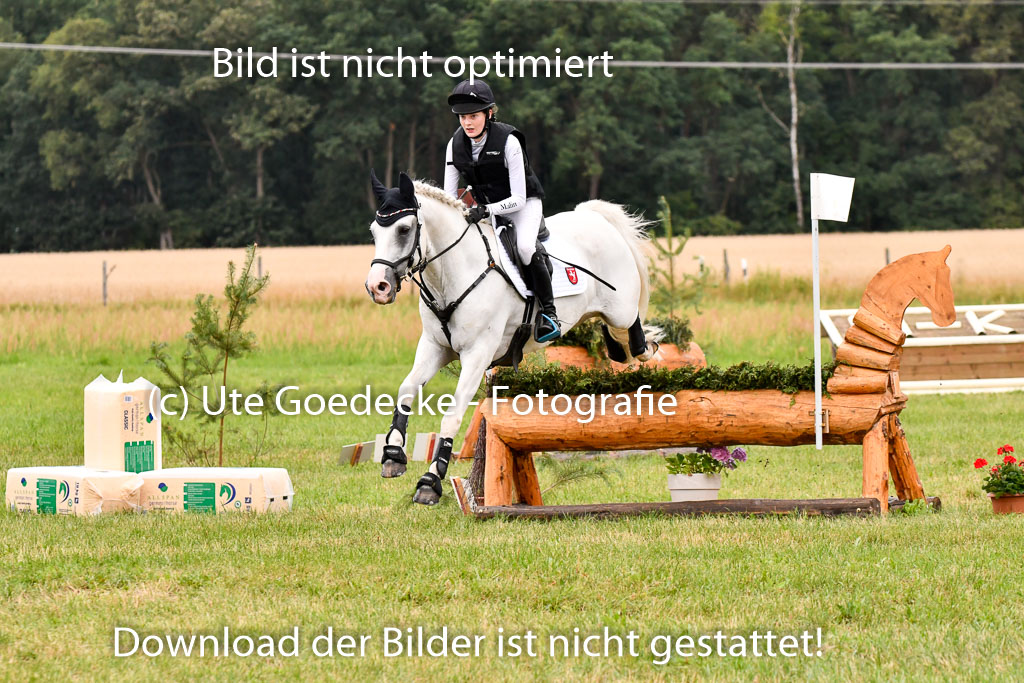 Goldene Schärpe Ponys in Hohenberg Krusemark 2024 | 13072024 Gelände 1 Abt_065 