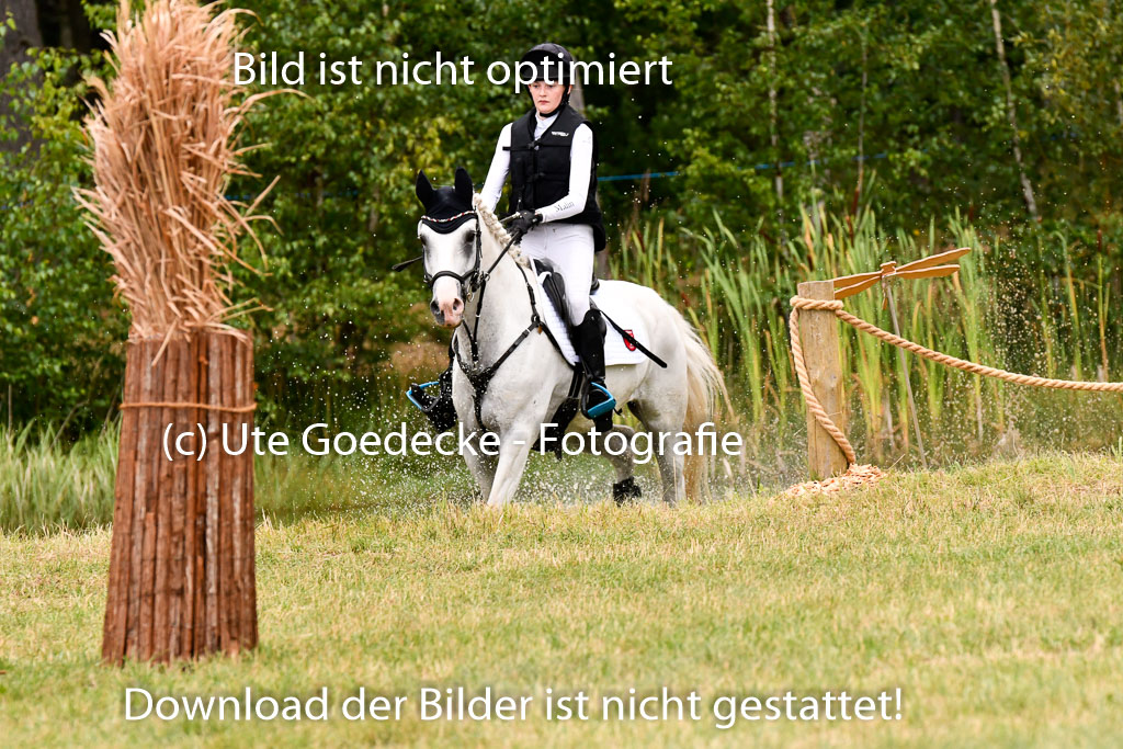 Goldene Schärpe Ponys in Hohenberg Krusemark 2024 | 13072024 Gelände 1 Abt_066