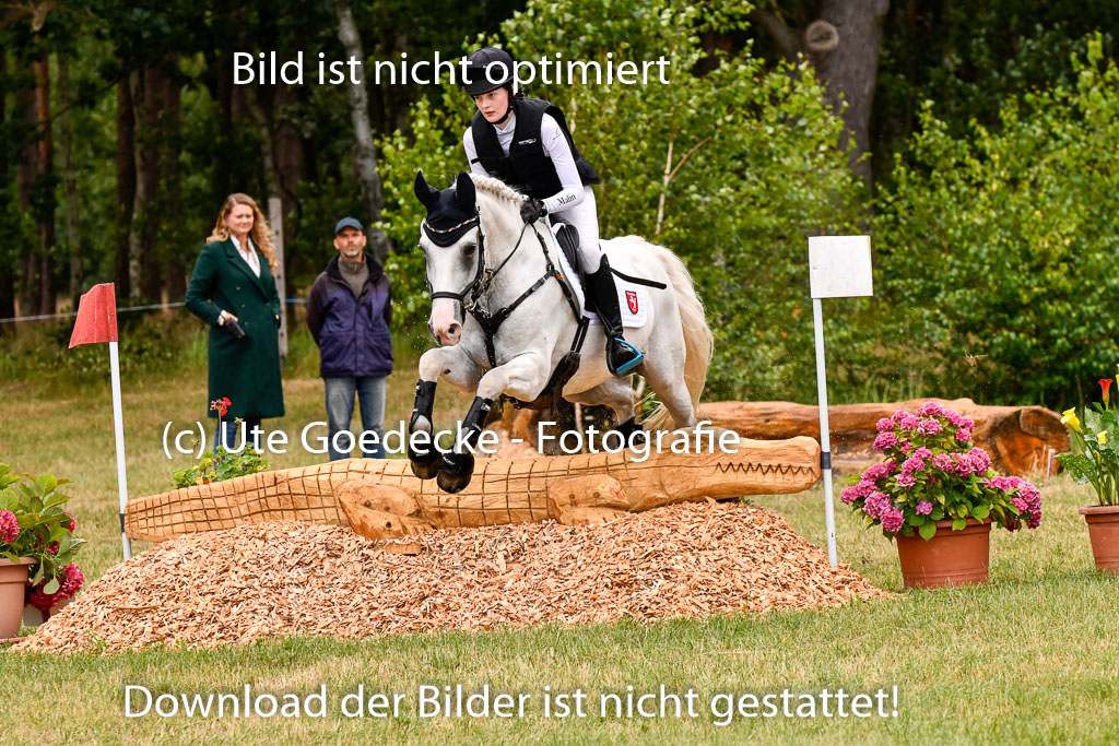 Goldene Schärpe Ponys in Hohenberg Krusemark 2024 | 13072024 Gelände 1 Abt_068