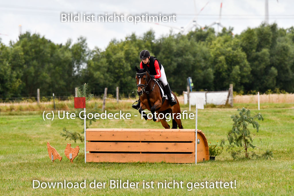 Goldene Schärpe Ponys in Hohenberg Krusemark 2024 | 13072024 Gelände 1 Abt_074 