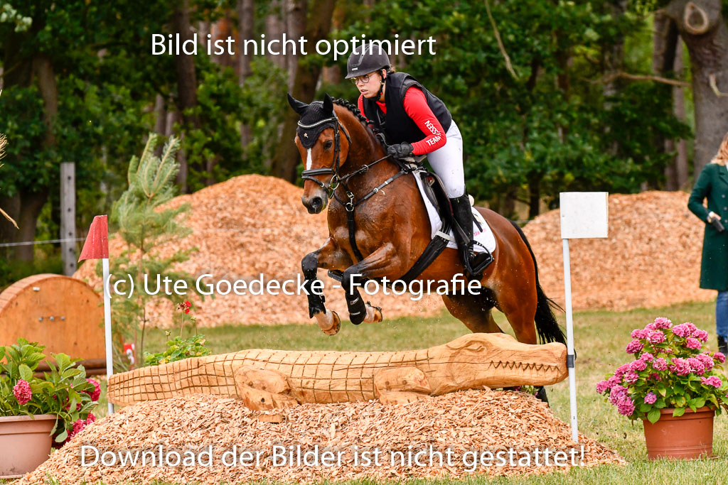 Goldene Schärpe Ponys in Hohenberg Krusemark 2024 | 13072024 Gelände 1 Abt_078 