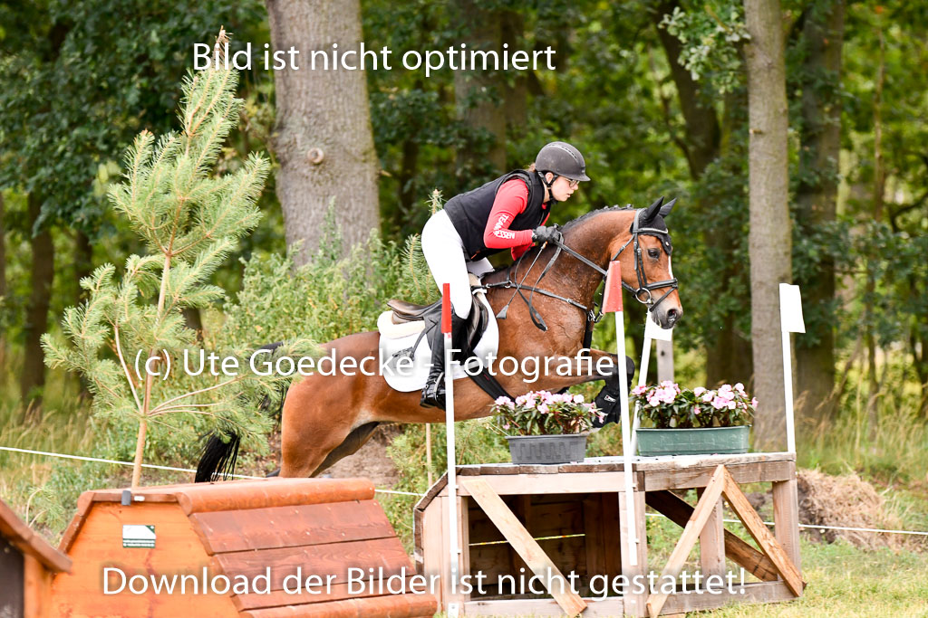 Goldene Schärpe Ponys in Hohenberg Krusemark 2024 | 13072024 Gelände 1 Abt_079