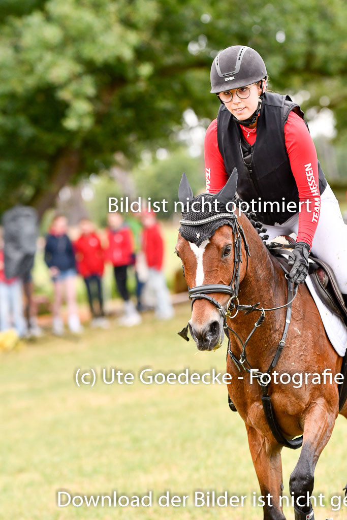 Goldene Schärpe Ponys in Hohenberg Krusemark 2024 | 13072024 Gelände 1 Abt_082 