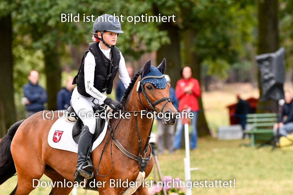 Goldene Schärpe Ponys in Hohenberg Krusemark 2024 | 13072024 Gelände 1 Abt_084 