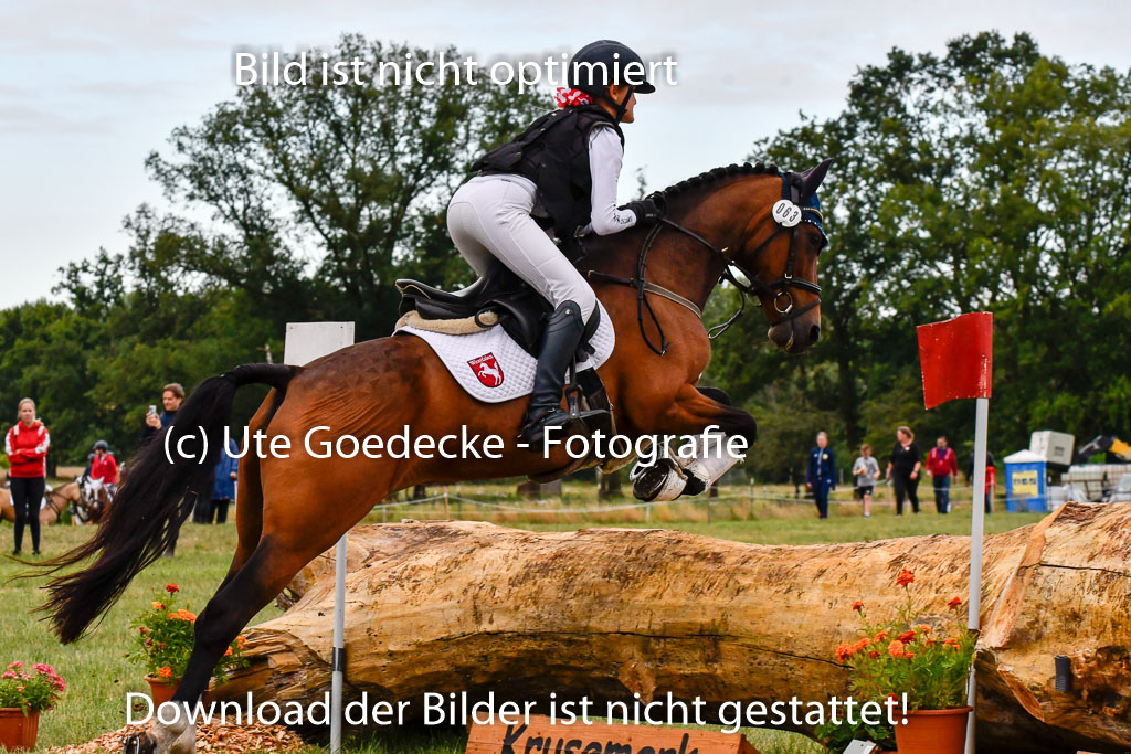 Goldene Schärpe Ponys in Hohenberg Krusemark 2024 | 13072024 Gelände 1 Abt_085