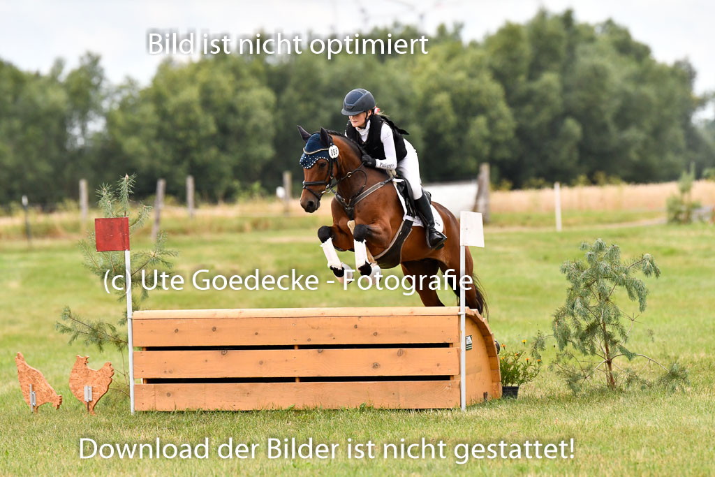 Goldene Schärpe Ponys in Hohenberg Krusemark 2024 | 13072024 Gelände 1 Abt_086