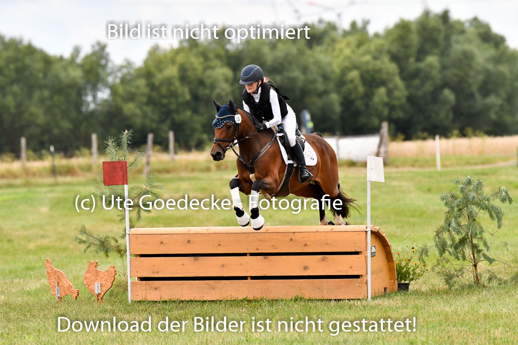 Goldene Schärpe Ponys in Hohenberg Krusemark 2024 | 13072024 Gelände 1 Abt_087