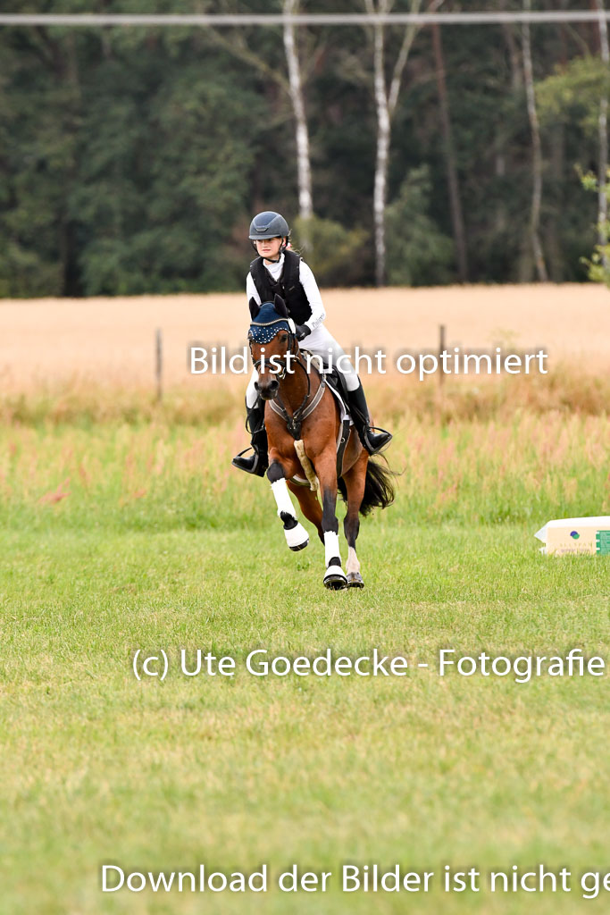 Goldene Schärpe Ponys in Hohenberg Krusemark 2024 | 13072024 Gelände 1 Abt_088