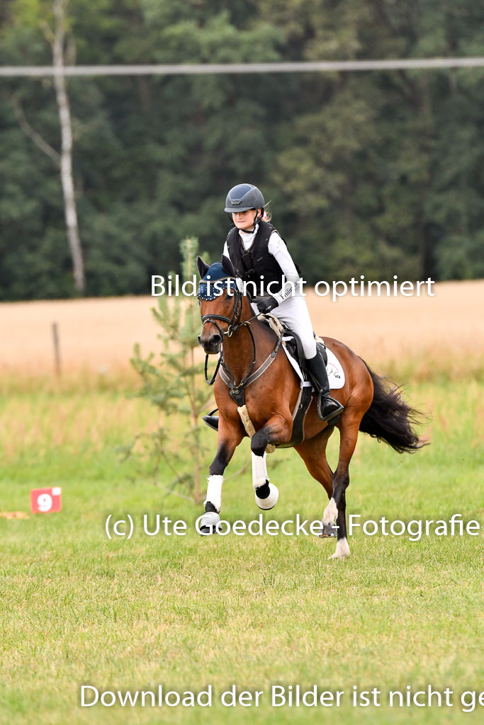 Goldene Schärpe Ponys in Hohenberg Krusemark 2024 | 13072024 Gelände 1 Abt_089