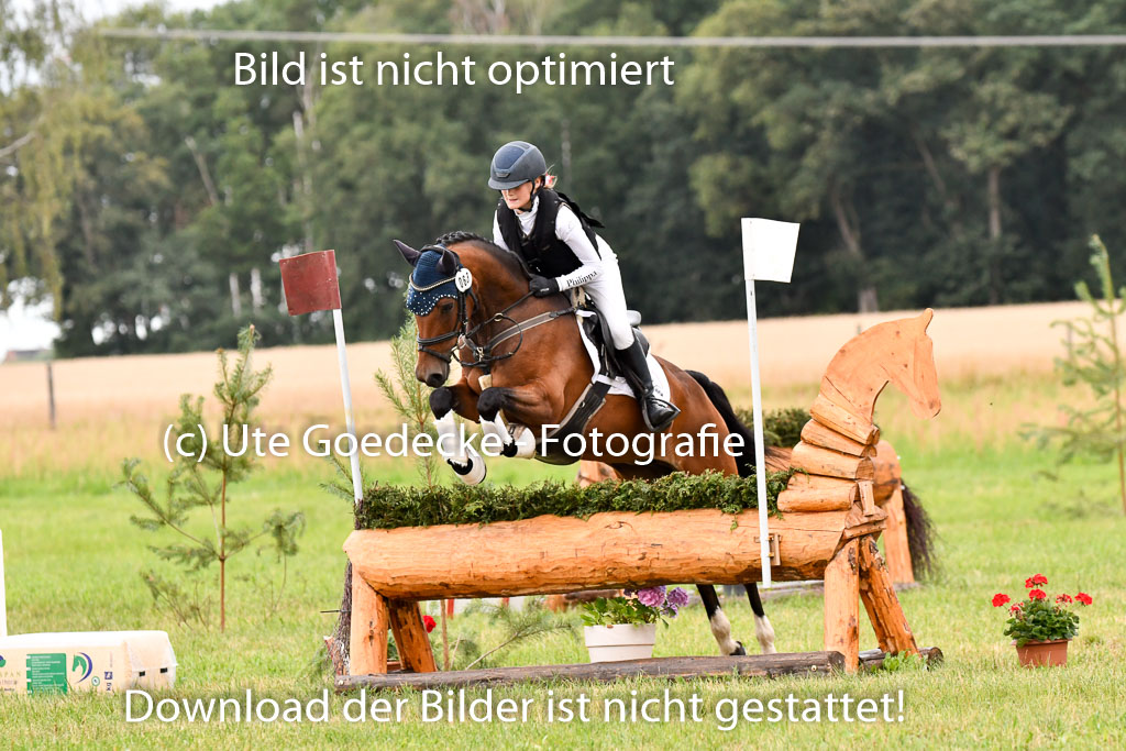 Goldene Schärpe Ponys in Hohenberg Krusemark 2024 | 13072024 Gelände 1 Abt_090 