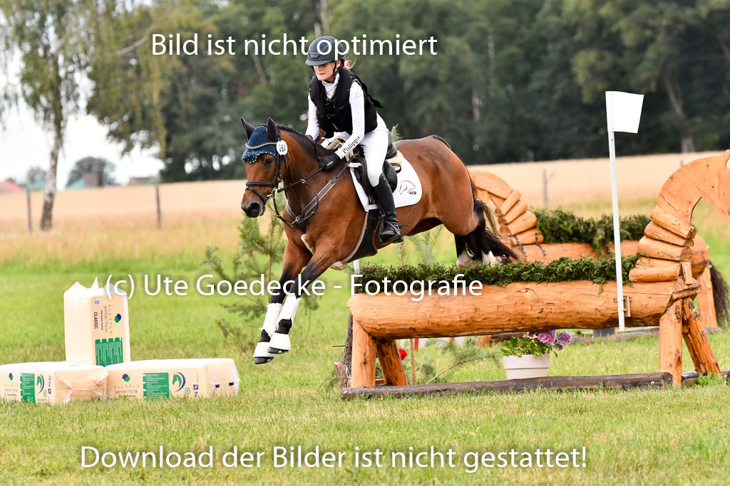 Goldene Schärpe Ponys in Hohenberg Krusemark 2024 | 13072024 Gelände 1 Abt_092