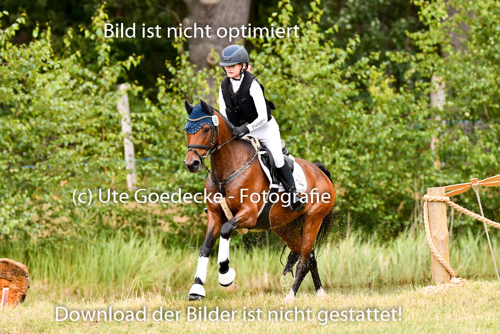 Goldene Schärpe Ponys in Hohenberg Krusemark 2024 | 13072024 Gelände 1 Abt_094