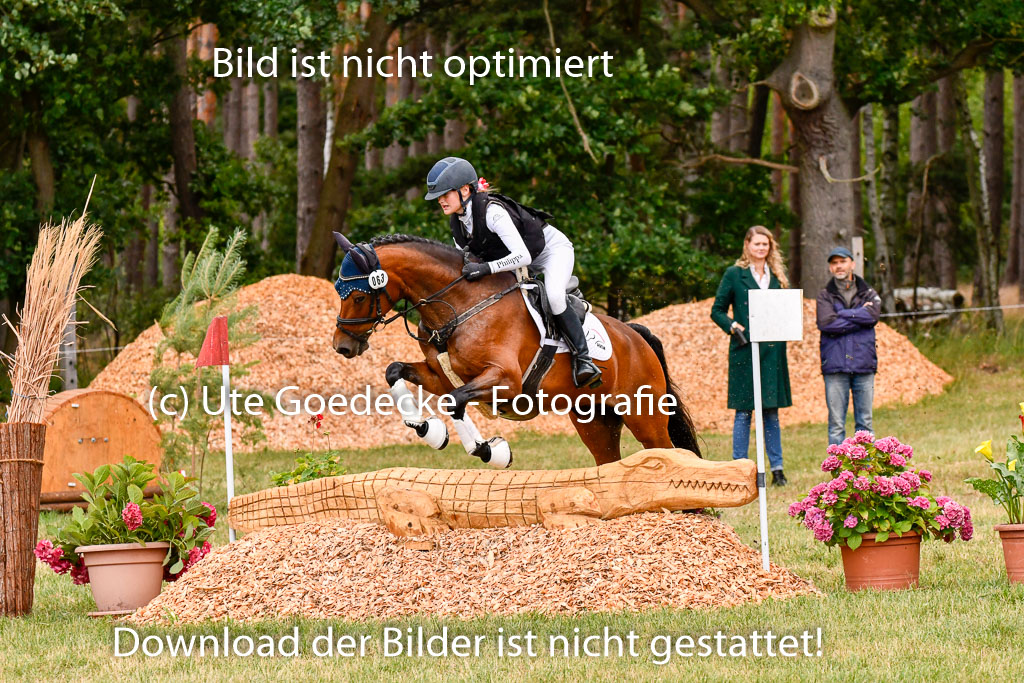 Goldene Schärpe Ponys in Hohenberg Krusemark 2024 | 13072024 Gelände 1 Abt_095
