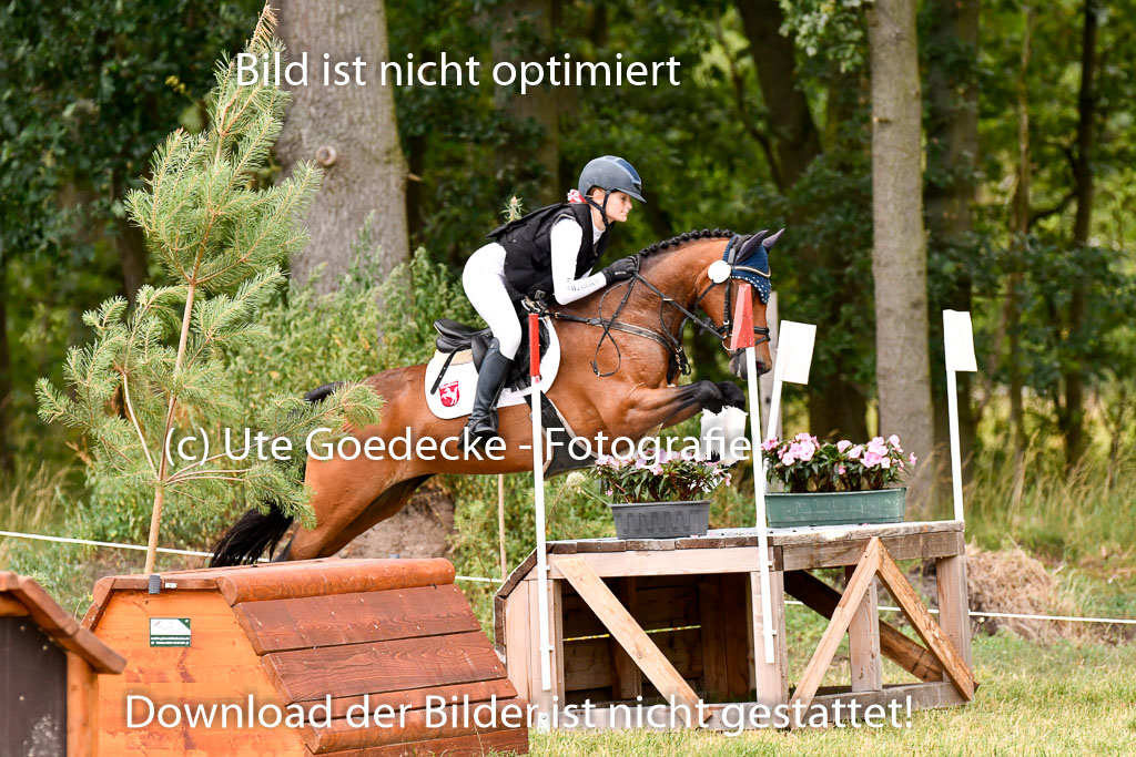 Goldene Schärpe Ponys in Hohenberg Krusemark 2024 | 13072024 Gelände 1 Abt_096 