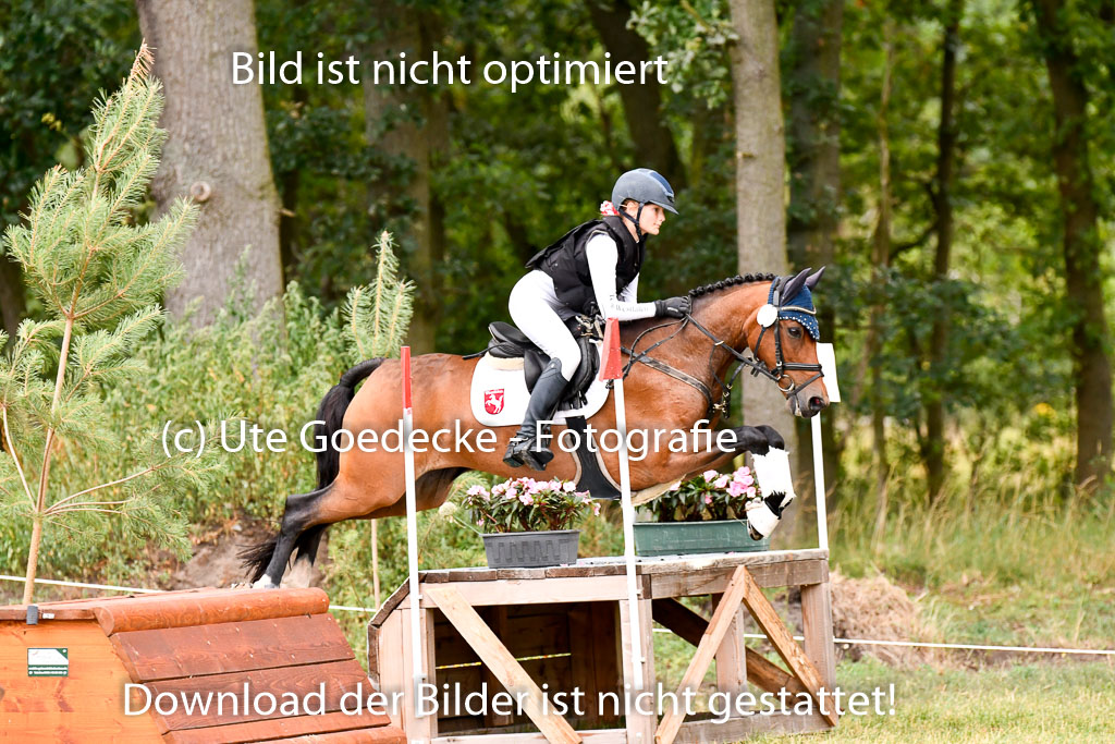 Goldene Schärpe Ponys in Hohenberg Krusemark 2024 | 13072024 Gelände 1 Abt_097