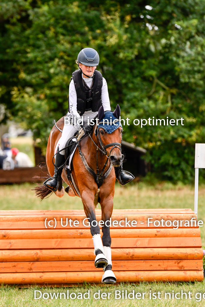 Goldene Schärpe Ponys in Hohenberg Krusemark 2024 | 13072024 Gelände 1 Abt_102