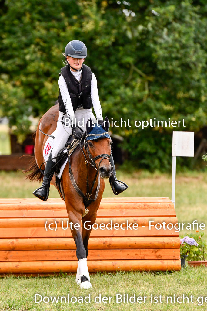 Goldene Schärpe Ponys in Hohenberg Krusemark 2024 | 13072024 Gelände 1 Abt_103