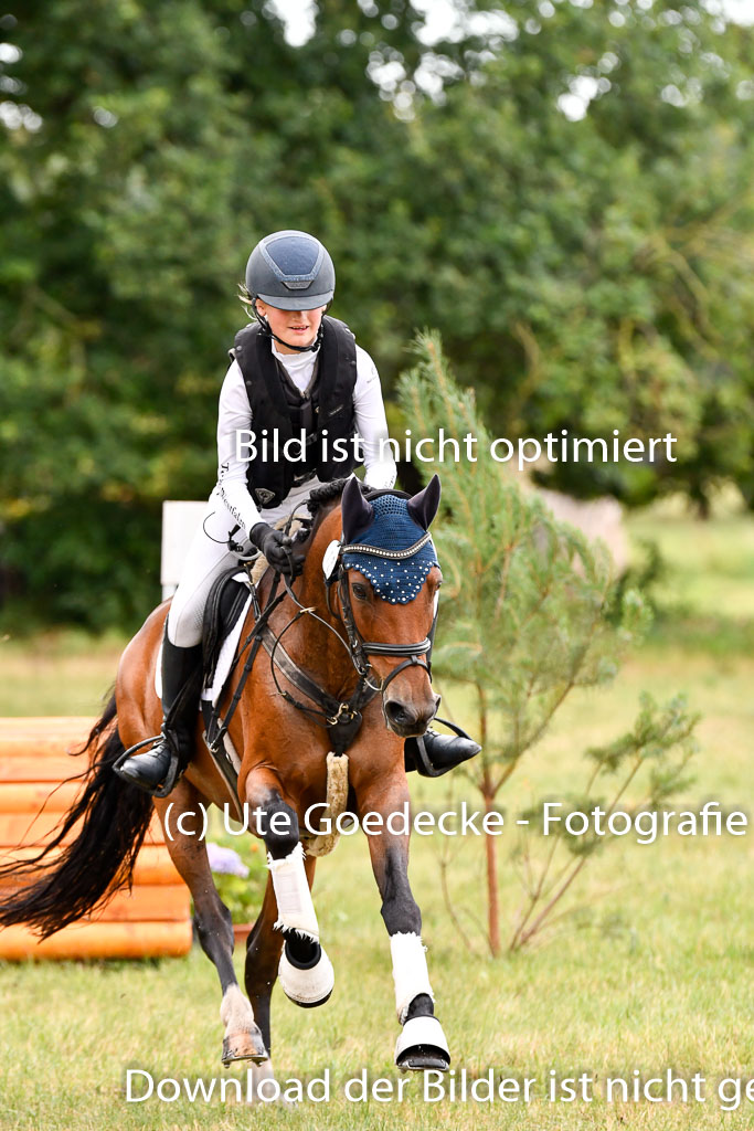 Goldene Schärpe Ponys in Hohenberg Krusemark 2024 | 13072024 Gelände 1 Abt_104