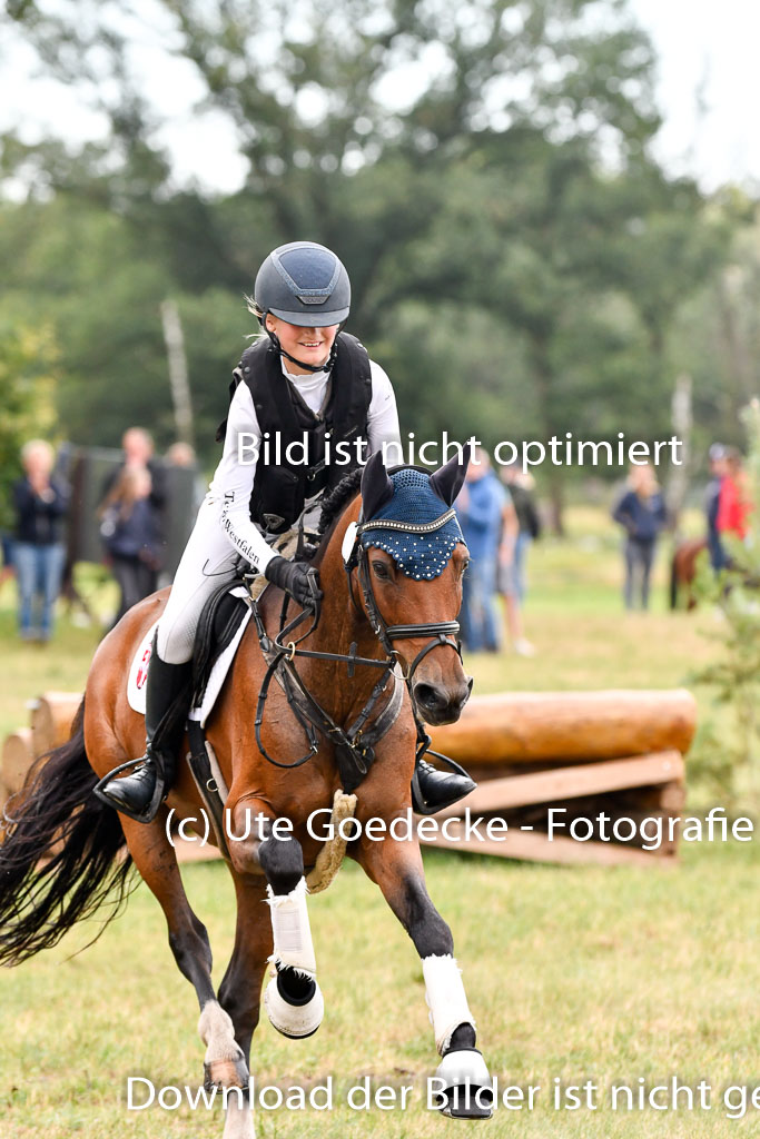 Goldene Schärpe Ponys in Hohenberg Krusemark 2024 | 13072024 Gelände 1 Abt_106