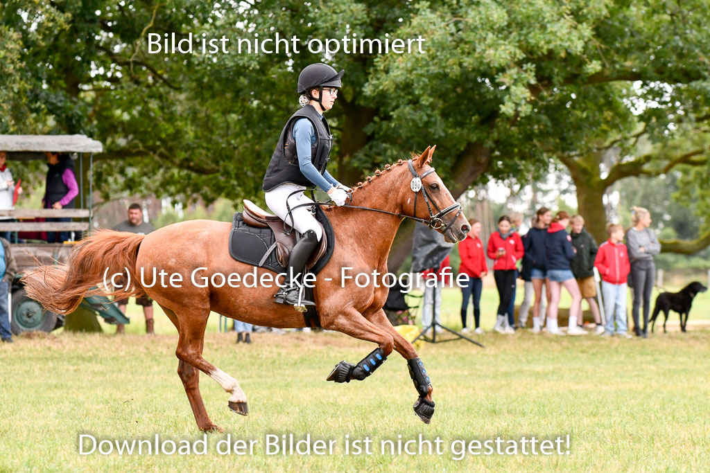 Goldene Schärpe Ponys in Hohenberg Krusemark 2024 | 13072024 Gelände 1 Abt_108