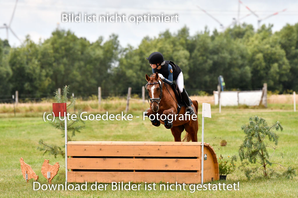 Goldene Schärpe Ponys in Hohenberg Krusemark 2024 | 13072024 Gelände 1 Abt_109