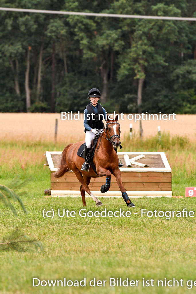 Goldene Schärpe Ponys in Hohenberg Krusemark 2024 | 13072024 Gelände 1 Abt_111