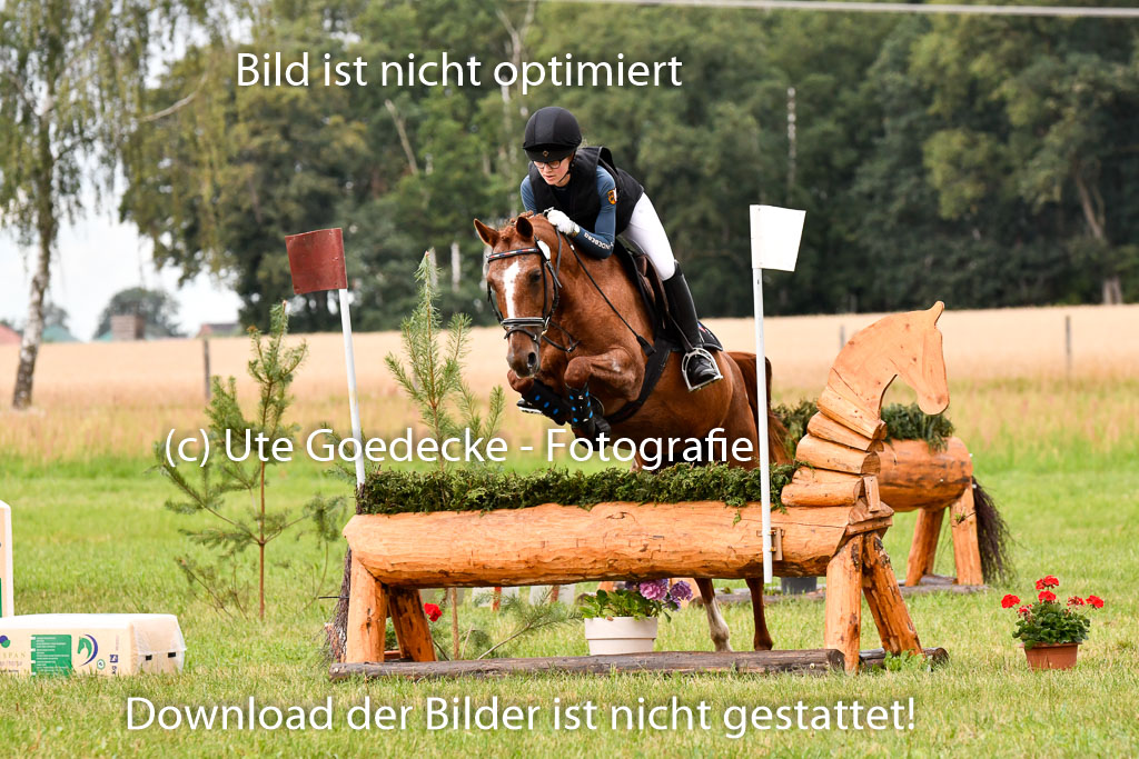 Goldene Schärpe Ponys in Hohenberg Krusemark 2024 | 13072024 Gelände 1 Abt_113
