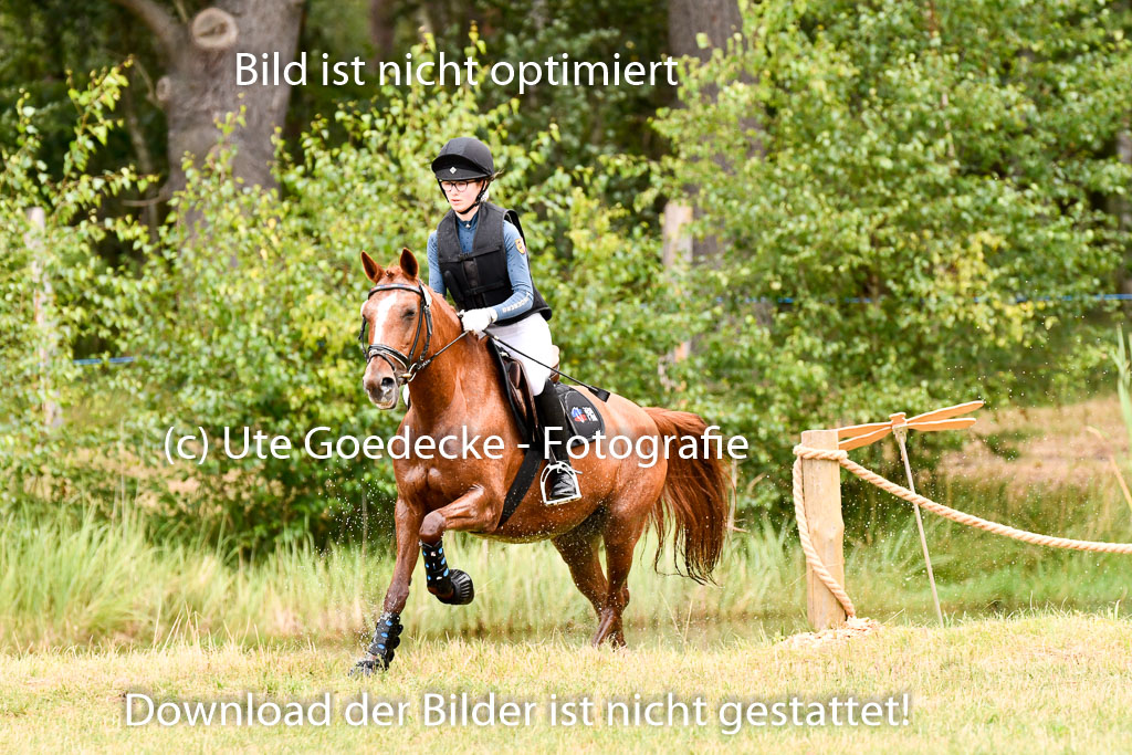 Goldene Schärpe Ponys in Hohenberg Krusemark 2024 | 13072024 Gelände 1 Abt_116 