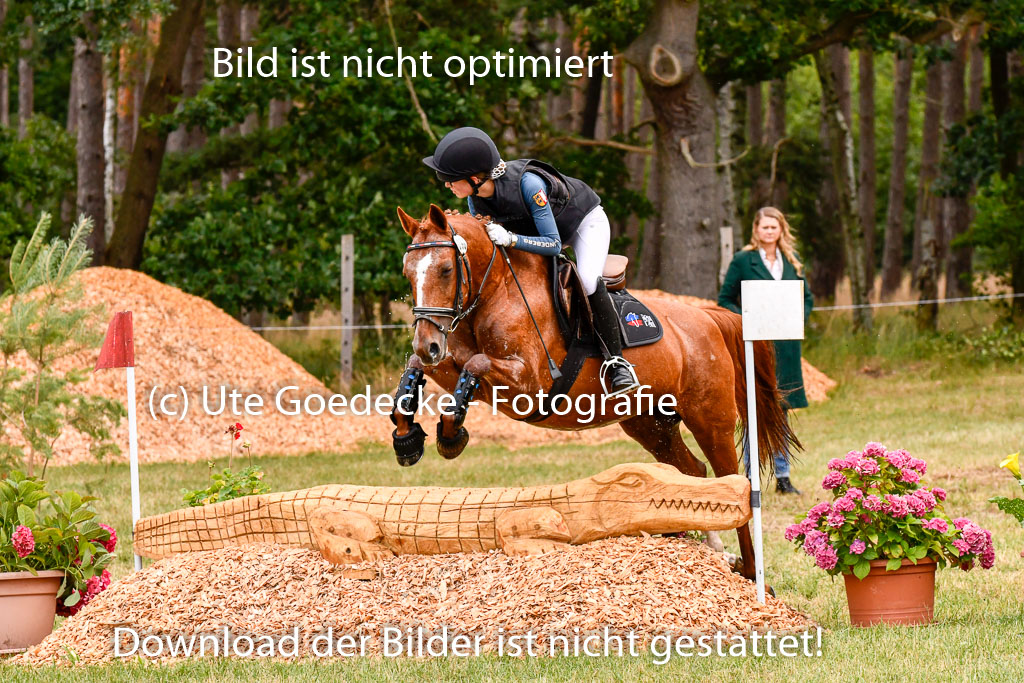 Goldene Schärpe Ponys in Hohenberg Krusemark 2024 | 13072024 Gelände 1 Abt_118 