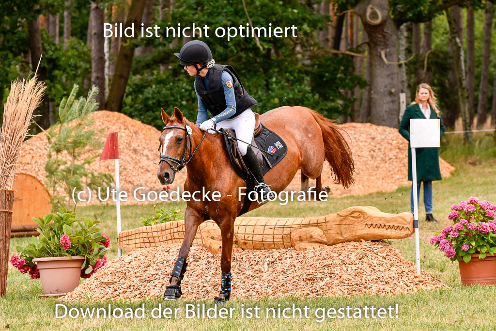Goldene Schärpe Ponys in Hohenberg Krusemark 2024 | 13072024 Gelände 1 Abt_119