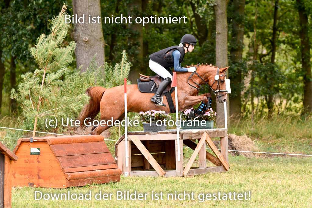 Goldene Schärpe Ponys in Hohenberg Krusemark 2024 | 13072024 Gelände 1 Abt_120