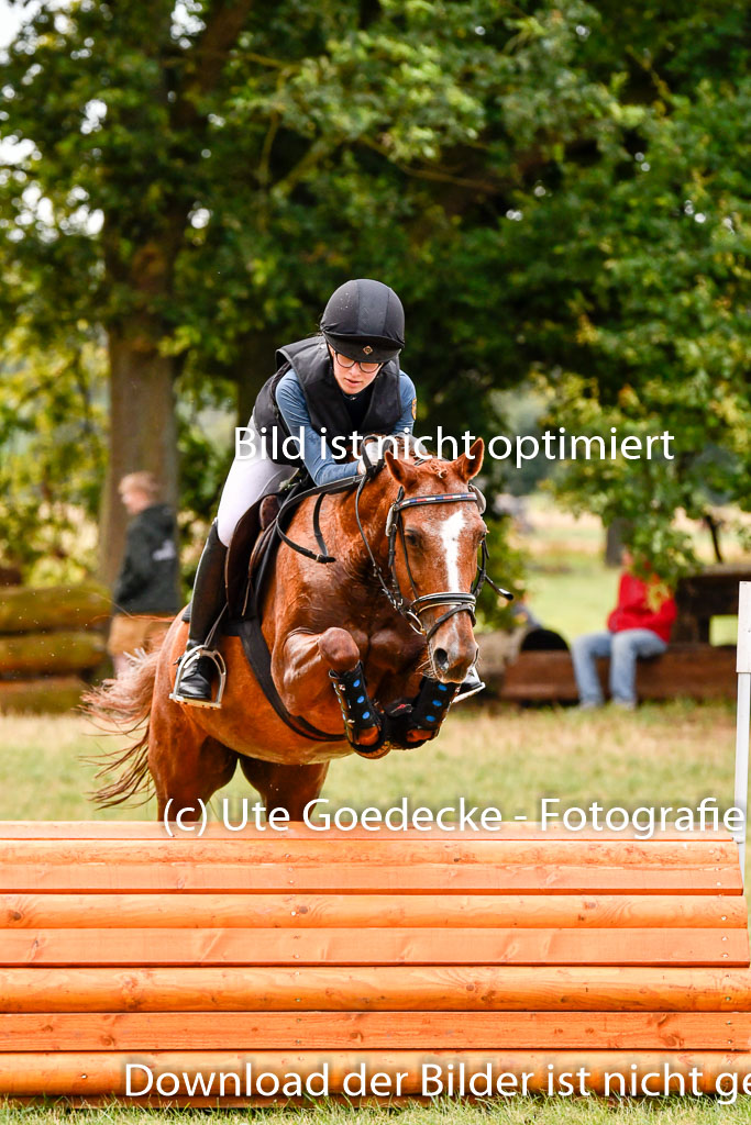 Goldene Schärpe Ponys in Hohenberg Krusemark 2024 | 13072024 Gelände 1 Abt_121