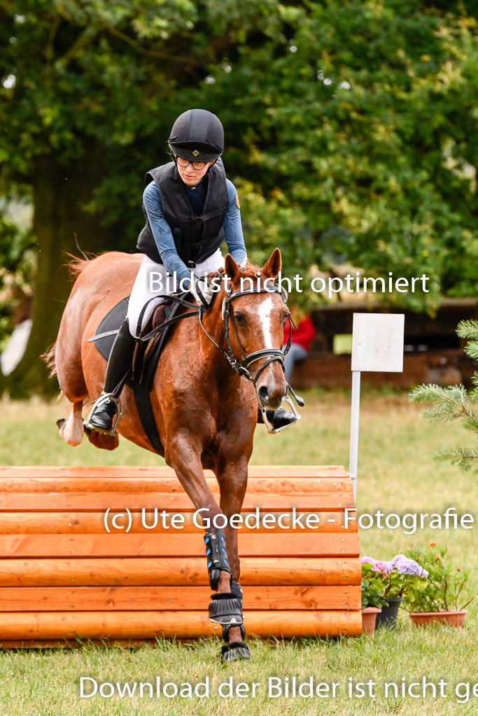 Goldene Schärpe Ponys in Hohenberg Krusemark 2024 | 13072024 Gelände 1 Abt_122