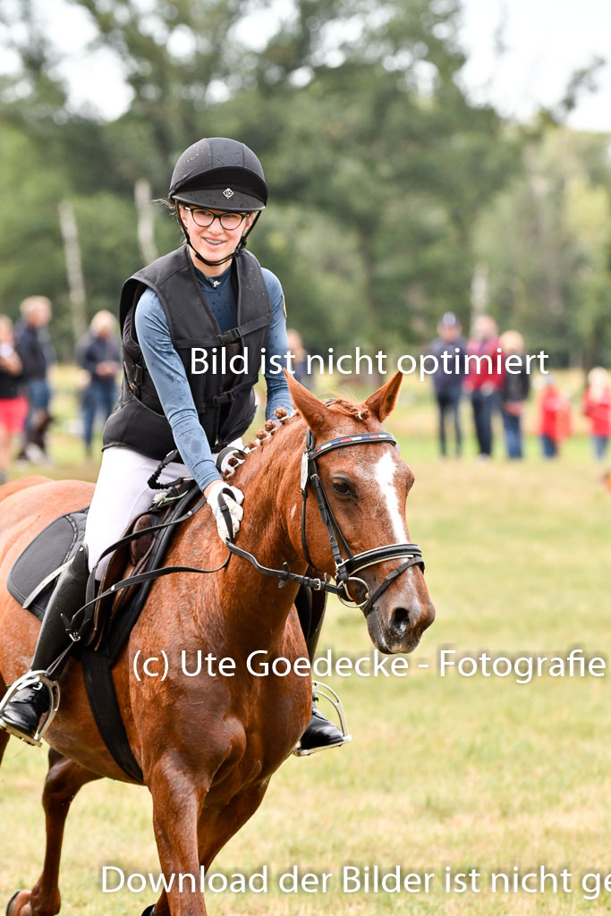 Goldene Schärpe Ponys in Hohenberg Krusemark 2024 | 13072024 Gelände 1 Abt_124