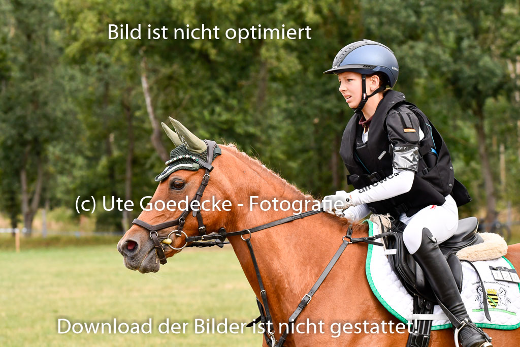Goldene Schärpe Ponys in Hohenberg Krusemark 2024 | 13072024 Gelände 1 Abt_125