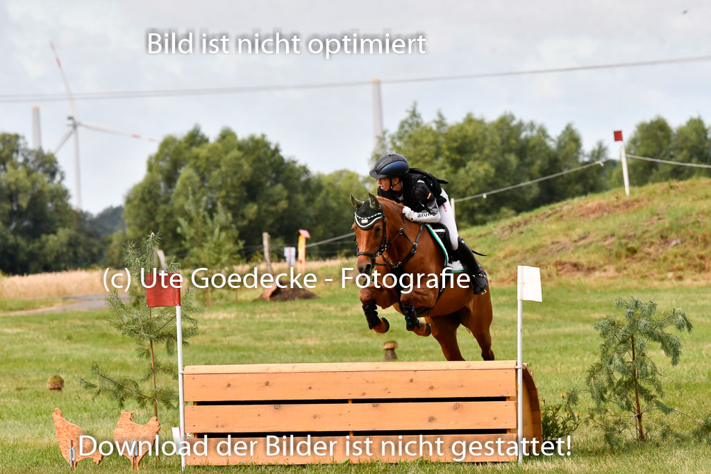 Goldene Schärpe Ponys in Hohenberg Krusemark 2024 | 13072024 Gelände 1 Abt_127 