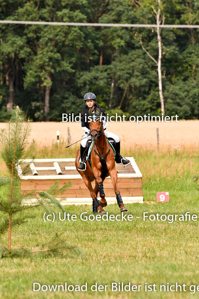 Goldene Schärpe Ponys in Hohenberg Krusemark 2024 | 13072024 Gelände 1 Abt_128